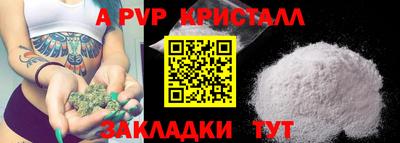 спиды Сланцы