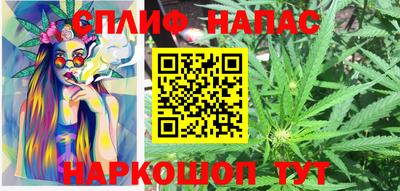 спиды Сланцы